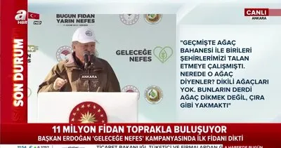 Cumhurbaşkanı Erdoğan, ’Geleceğe nefes’ 11 milyon fidan dikimi etkinliğinde önemli açıklamalarda bulundu