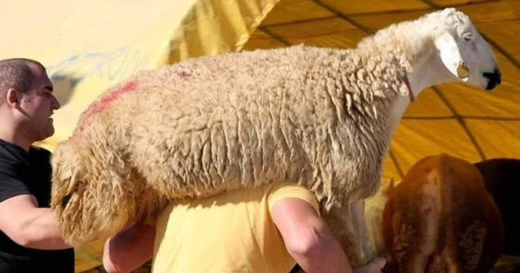 Kurban vekaleti nedir, nasıl verilir ve nasıl alınır? Kurban bağışında vekalet nasıl verilir?