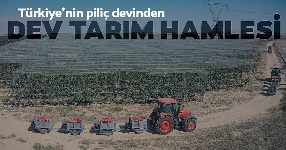 Pilic Devinden Tarim Hamlesi Ekonomi Haberleri