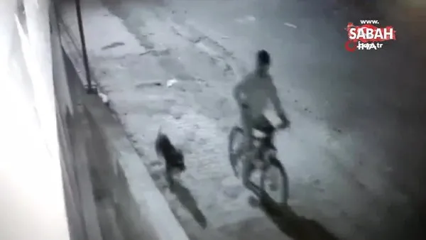 Pitbull cinsi köpek ile hırsızlık! Şüpheli, bisikleti çalarak böyle uzaklaştı | Video
