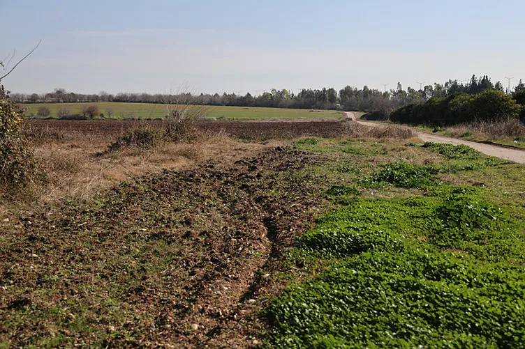 Adana’da vahşet: 2 çocuk annesi sevgilisi tarafından infaz edildi! Ağaçlık alana götürülüp...
