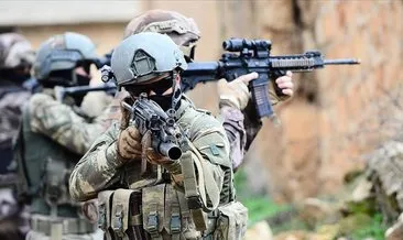 Hakkari’de PKK’ya darbe