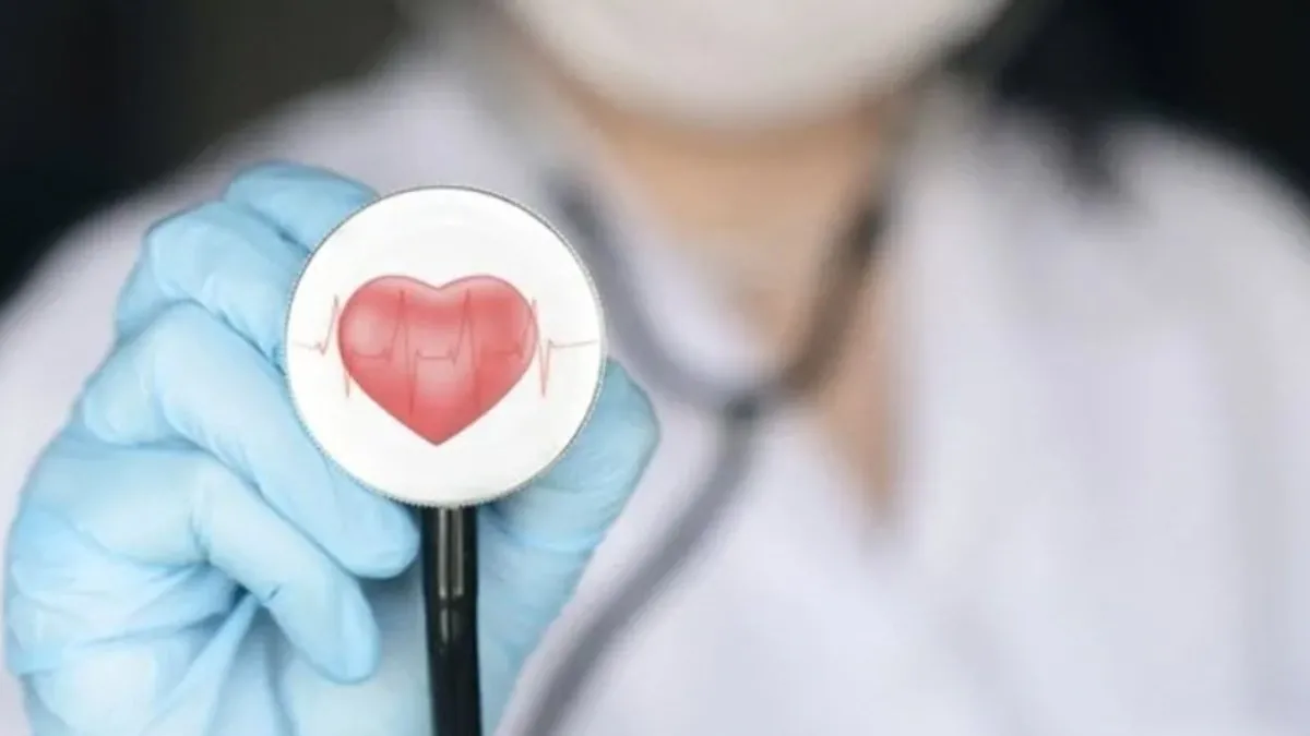 Kardiyoloji Doktoru Damar Tıkanıklığına Bakar Mı? Damar Tıkanıklığı İçin Kardiyolojiye Gidilir Mi? Kardiyoloji Doktoru Damar Tıkanıklığına Bakar Mı? Damar Tıkanıklığı İçin Kardiyolojiye Gidilir Mi?