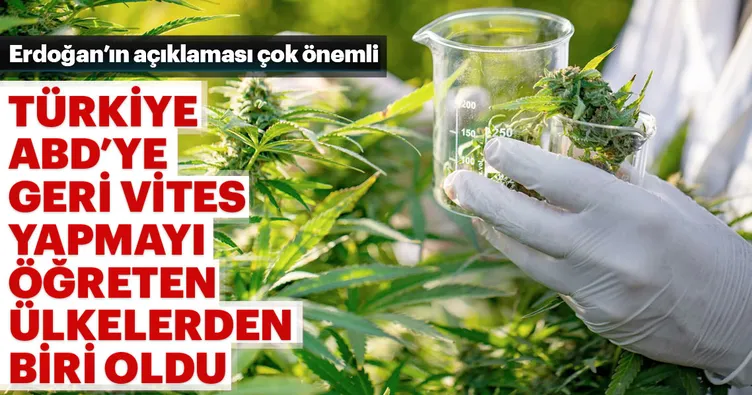 Kenevir politik bir bitkidir