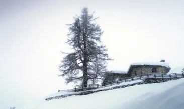 Zamanın, hastalığın ve insan ruhunun romanı