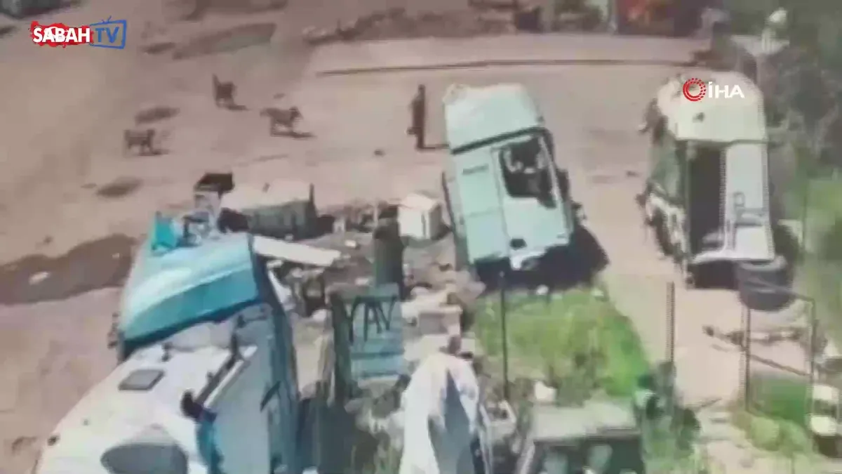 Başıboş köpeklerin saldırısından saniyelerle kurtuldu | Video videosunu izle Başıboş köpeklerin saldırısından saniyelerle kurtuldu | Video videosunu izle