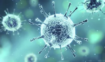 Hidroksiklorokin nedir ve ne işe yarıyor? Bakan Koca’nın açıkladığı Hidroksiklorokin ilacı corona virüsü tedavisinde nasıl etki gösteriyor?