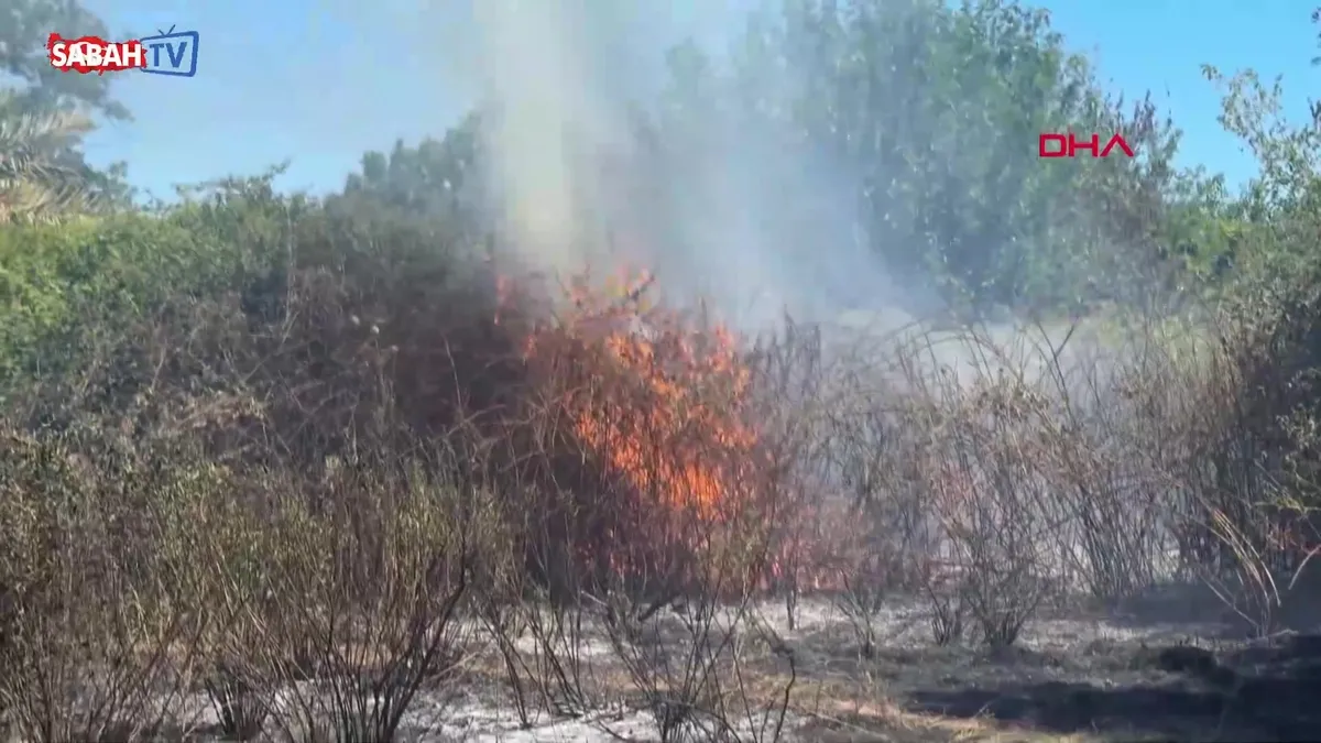 Antalya’da rüzgarın etkisiyle yayılan ot yangını korkuttu: İtfaiye olay yerine ulaşmakta zorlandı | Video videosunu izle Antalya’da rüzgarın etkisiyle yayılan ot yangını korkuttu: İtfaiye olay yerine ulaşmakta zorlandı | Video videosunu izle