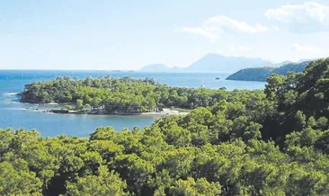 Phaselis ve Phaselisliler