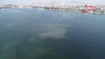 İstanbul sahillerinde korkutan görüntü! Müsilaj geri mi dönüyor? | Video