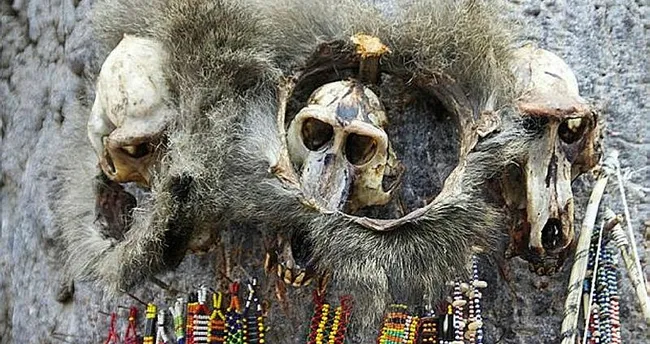 Seyşeller’de ana muhalefet liderine “büyücülük” suçlaması Seyşeller’de ana muhalefet liderine “büyücülük” suçlaması