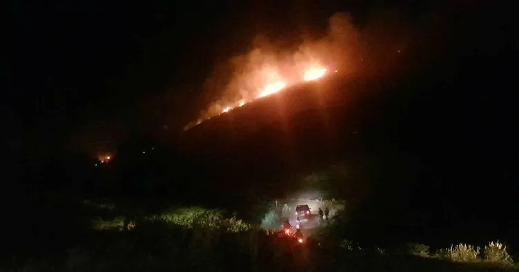 Aydın’da korkutan yangın