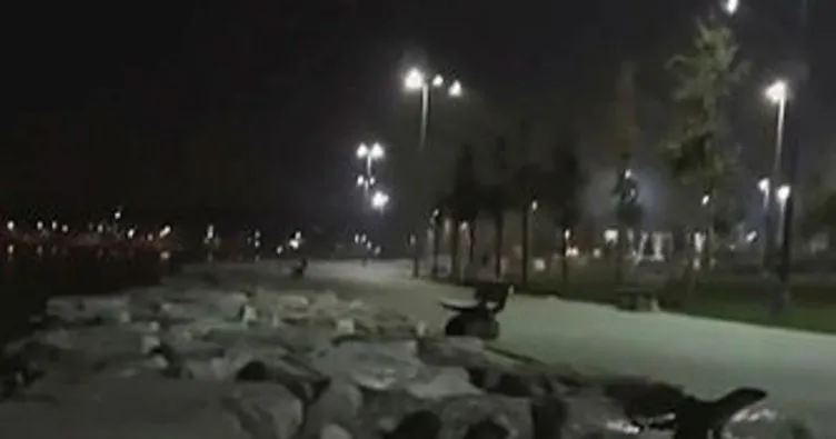 su samurlari yenikapi ve zeytinburnu sahillerinde goruntulendi sayfa 4 son dakika haberler