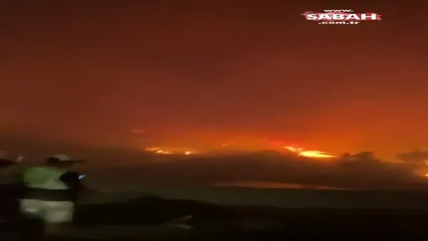 Son dakika! Muğla'da alevler termik santrale sıçradı! Termik santral yetkililerinden ilk açıklama geldi | Video