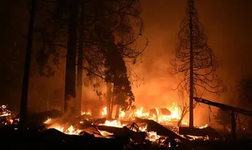 ABD’de 14 yaşındaki çocuk orman yangınında kundaklama şüphesiyle gözaltında