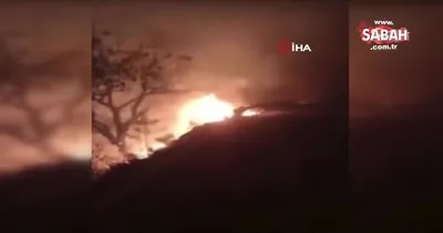Meksika’da 42 orman yangını ile mücadele devam ediyor | Video