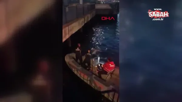 İstanbul Kadıköy'de balıkçı oltasına takılan iki martıyı itfaiye ekipleri kurtardı | Video