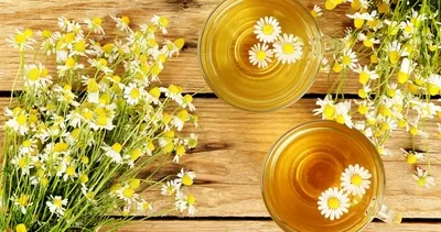 Papatya çayının faydaları nelerdir?