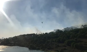 Maltepe’de ormanlık alanda yangın