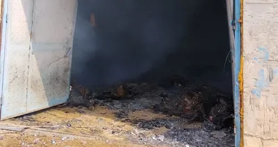 Yanan ahırda 200 küçükbaş hayvan telef oldu #tunceli