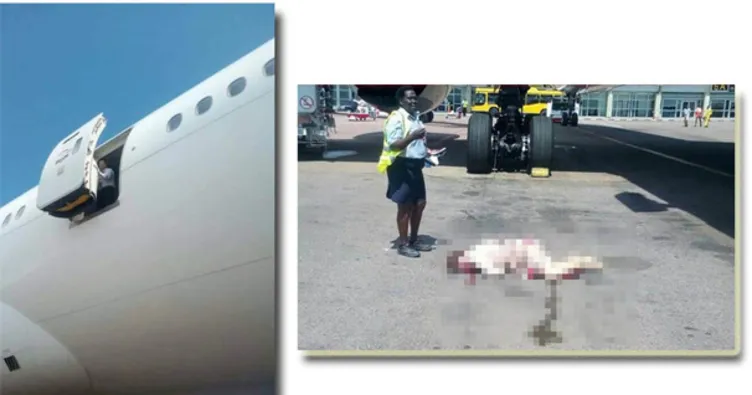 Hostes uçaktan düştü!