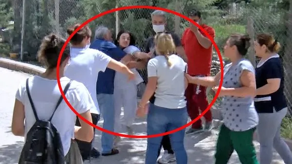 Ankara'da sokak köpeklerini besleyen kadına saldırı anı kamerada | Video
