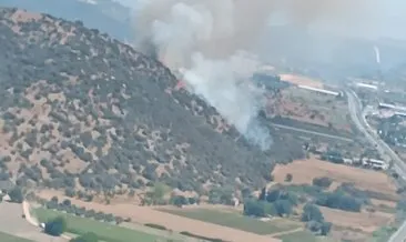 Muğla’da 4 ayrı noktada orman yangını