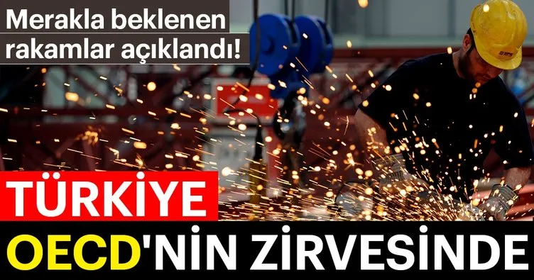 Türkiye büyümede OECD'nin zirvesinde
