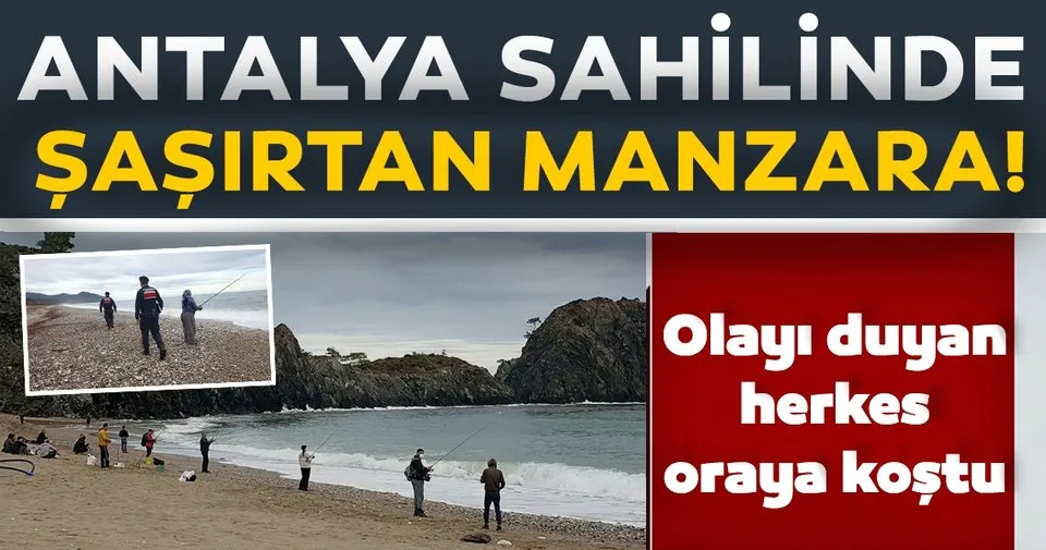 antalya da sasirtan manzara olayi