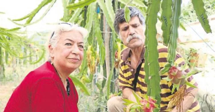 Emekli öğretmen çift tarımda örnek