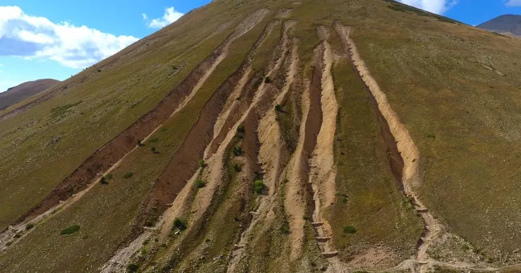 Topraklarımız çölleşmekten kurtuldu