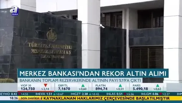 Merkez Bankası'ndan rekor altın alımı