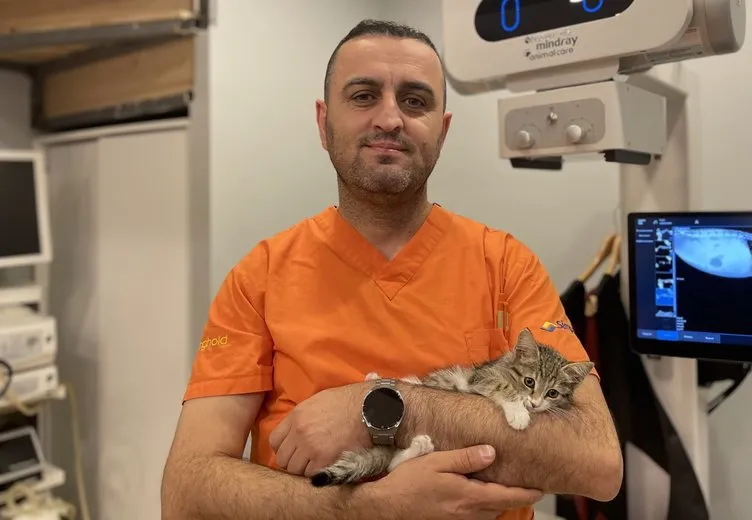 Eskişehir’de esrarengiz olay! Bu kedi gıdaklıyor: Sebebi şoke etti!