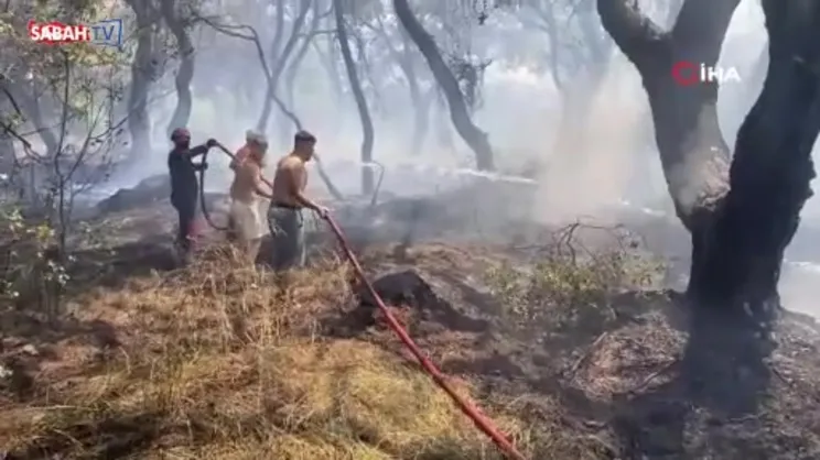SON DAKİKA: Antalya Muratpaşa'da orman yangını! | Video