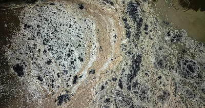 Riva, Haliç derken tabiat harikası gölde de utanç veren görüntüler: Eskiden tertemizdi,şimdi binlerce balık öldü...