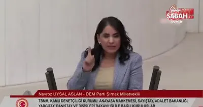 DEM Parti Milletvekili’nden skandal açıklama: Öcalan’ın özgürlüğüne kavuşması için herkes... | Video