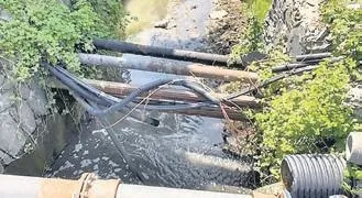 İBB’nin çevre katliamı! Zekeriyaköy’de foseptikle zehirleme skandalı!