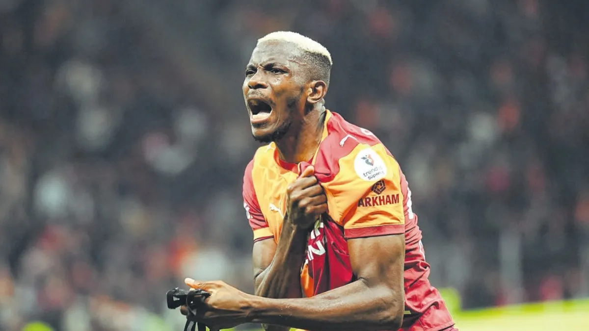 Tur cebinde Aslan rahat