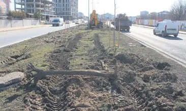 CHP’li belediyeler pes dedirtti! Bir ağaç katliamı da Tekirdağ’da