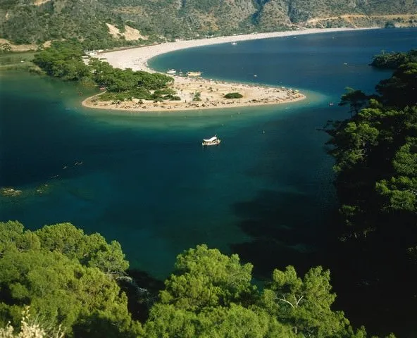 Eriğin inanılmaz faydaları