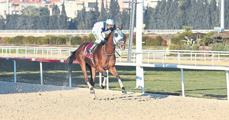 Yarış atına canlı yayında şiddet