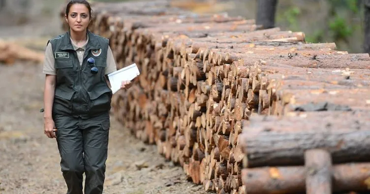 Orman Genel Müdürlüğü 1128 sözleşmeli orman muhafaza memuru alacak
