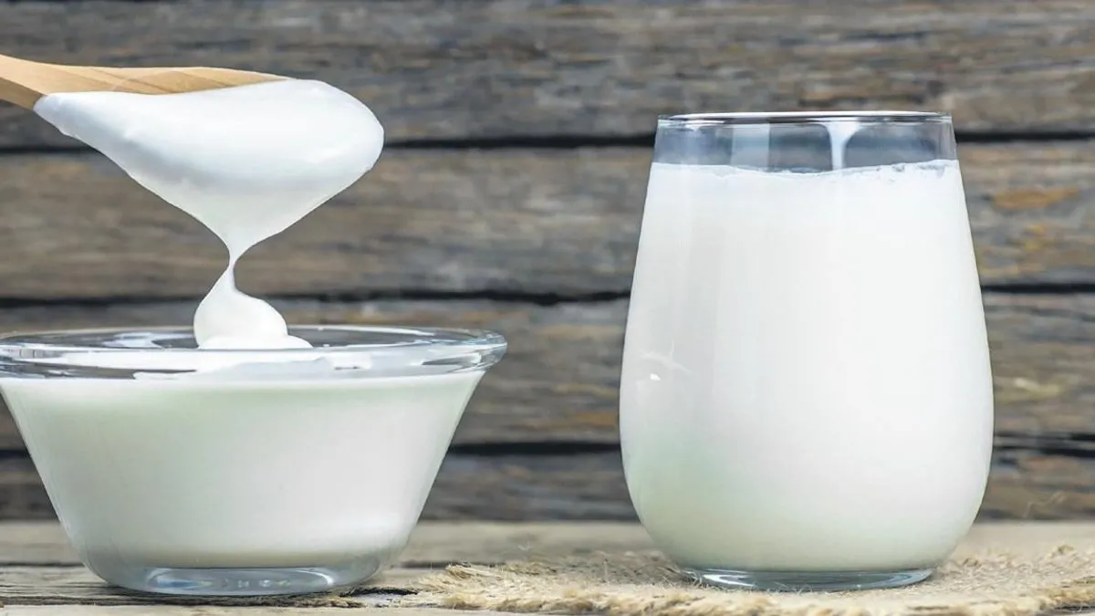 Güçlü bağışıklığın reçetesi her gün bir kase yoğurt bir bardak kefir Güçlü bağışıklığın reçetesi her gün bir kase yoğurt bir bardak kefir