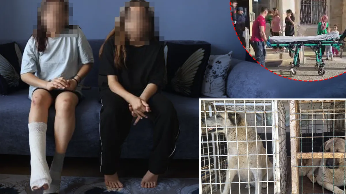 Hatay'da kız kardeşlere köpek saldırısı