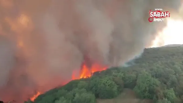 Slovenya'da orman yangını: 4 köy tahliye edildi | Video