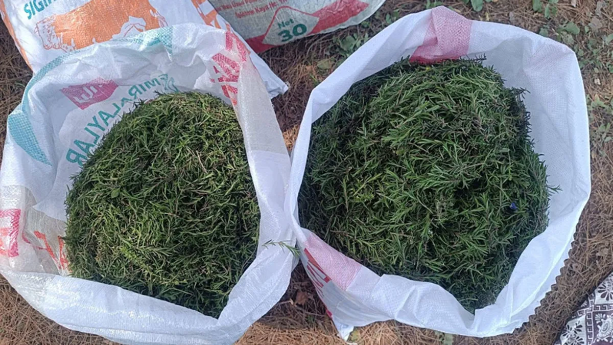 Antakya’nın şifalı mirası için şehirler sıraya girdi!