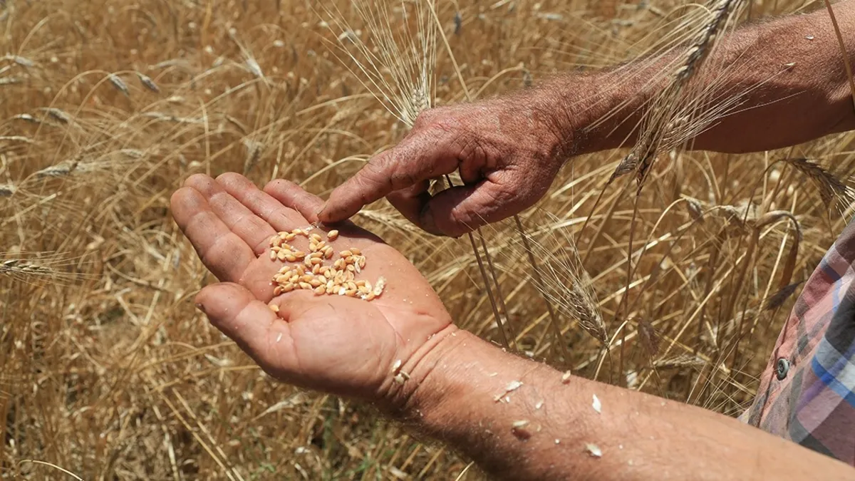 İsrail’den tek bir tohum dahi almıyoruz