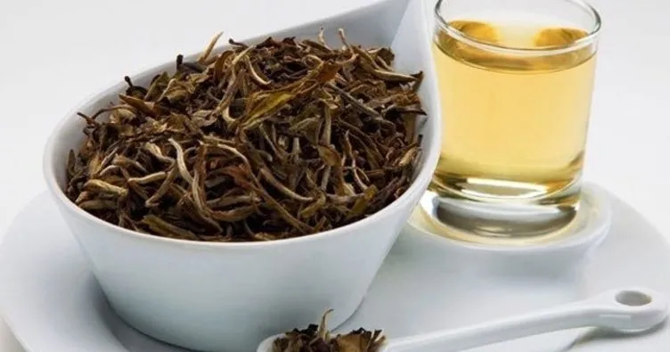 Beyaz çay nedir, faydaları nelerdir? Beyaz çay nasıl demlenir, nerelerde satılır?