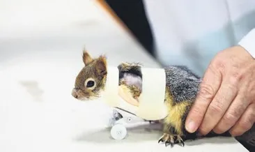 Dünya medyası Karamel’i konuşuyor