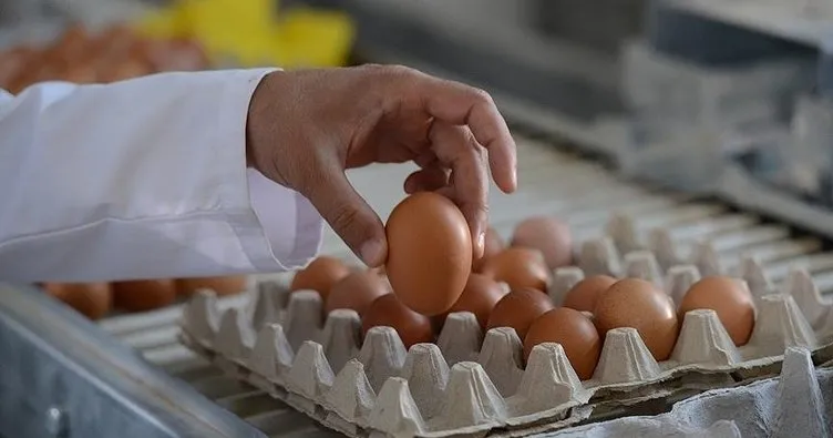 İngilizlerin yumurta krizinde yeni perde: Bu sadece başlangıç!